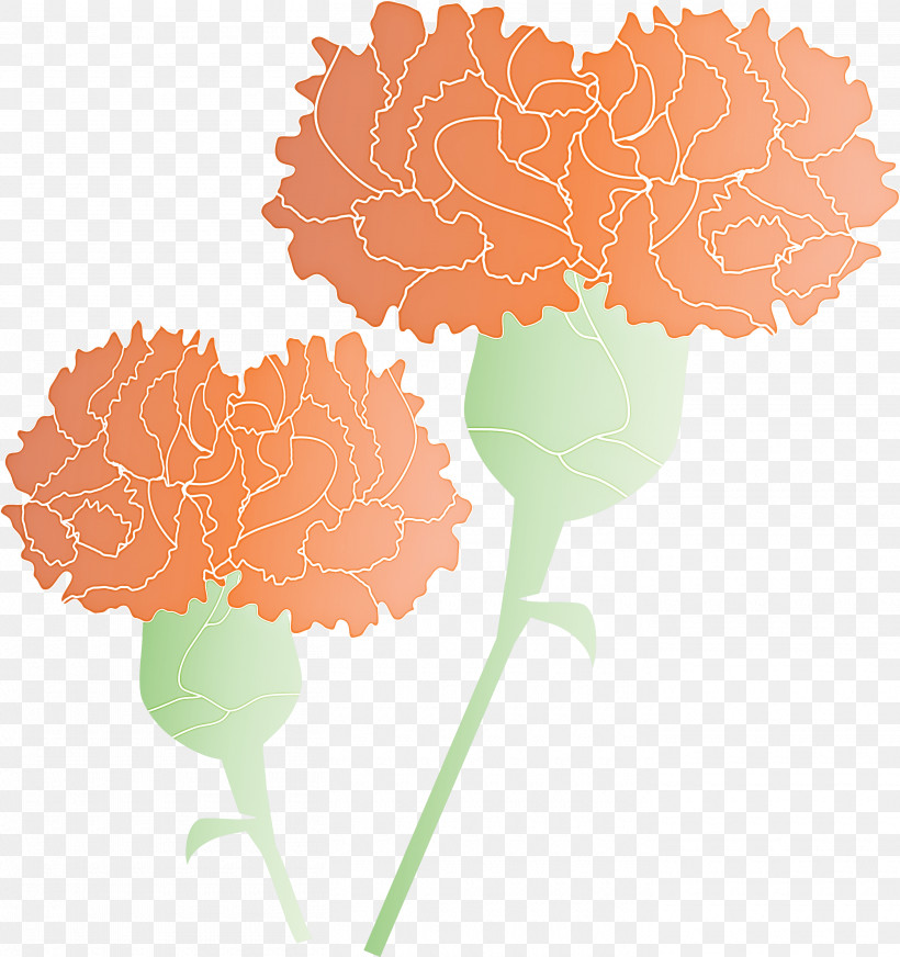 Mothers Day Carnation Mothers Day Flower, PNG, 2820x3000px, Mothers Day Carnation, Carnation, Cut Flowers, Dianthus, Flower Download Free