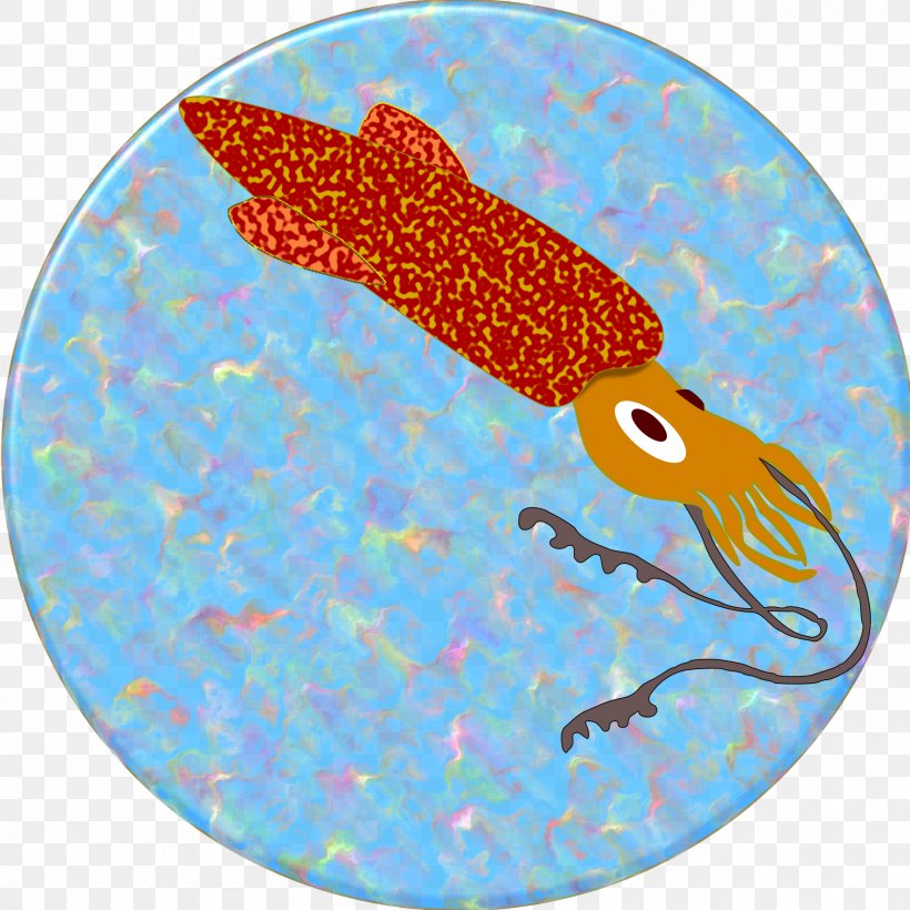 Squid, PNG, 2400x2400px, Squid, Biology, Fish, Kilobyte, Marine Biology Download Free