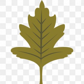 Black Maple Flower - Oak Tree Leaf PNG