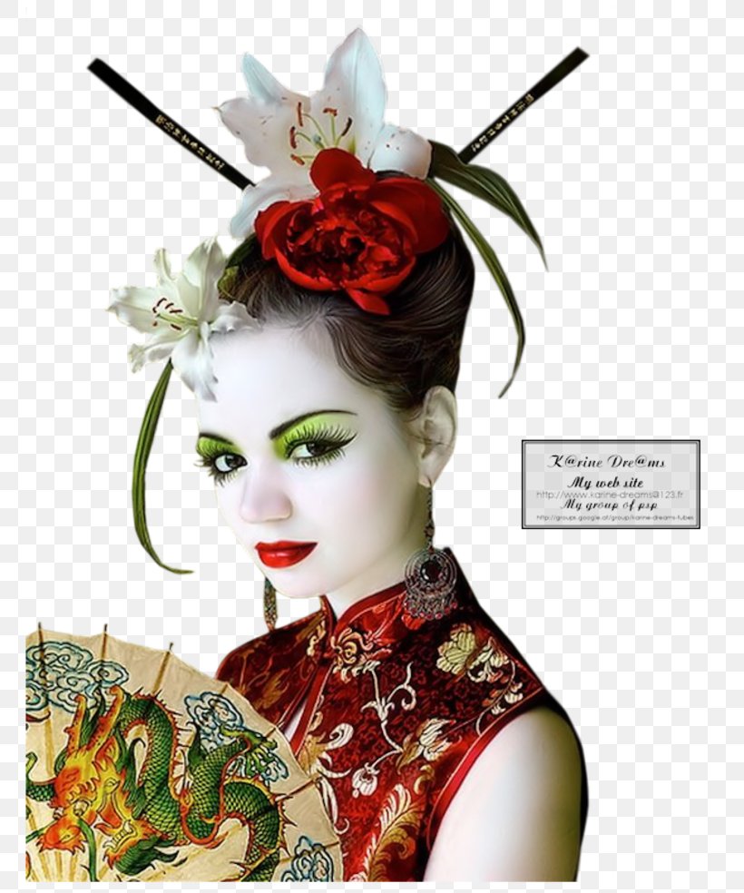 Geisha Woman Bob Morane Asia, PNG, 800x984px, 2016, Geisha, Adventure, Asia, Blog Download Free