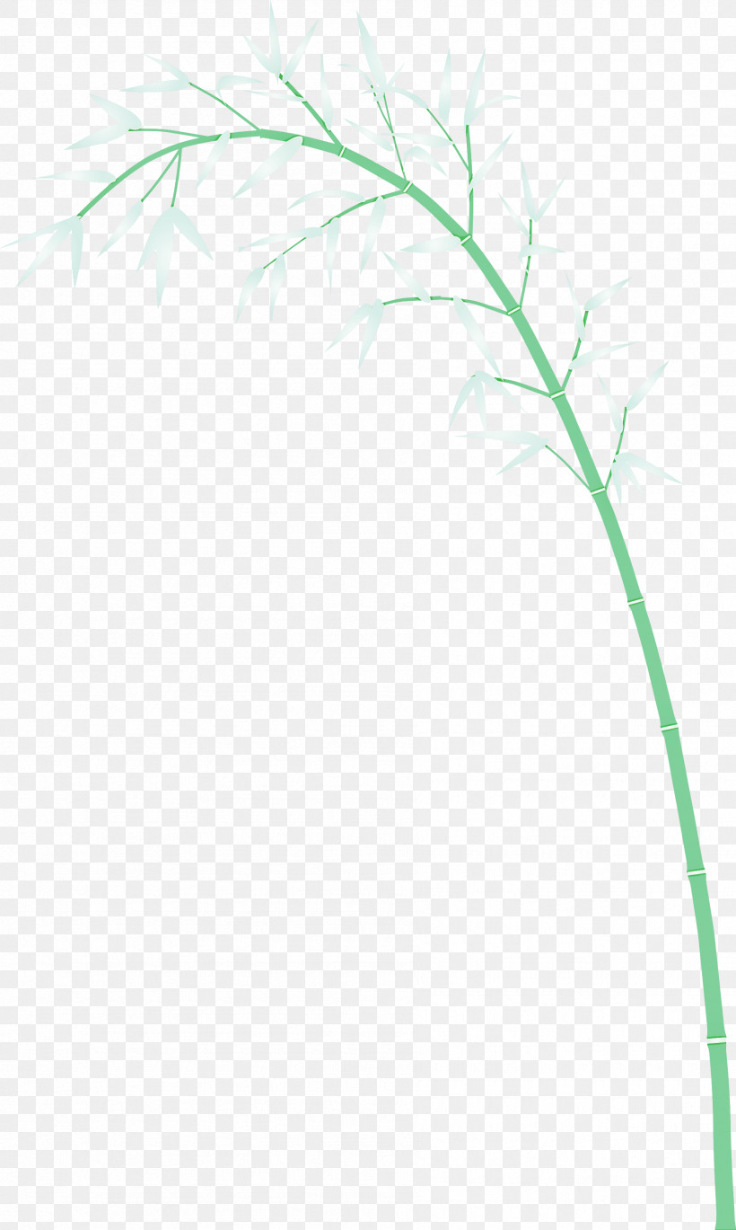 Bamboo Leaf, PNG, 1796x3000px, Bamboo, Flower, Grass, Grass Family, Green Download Free