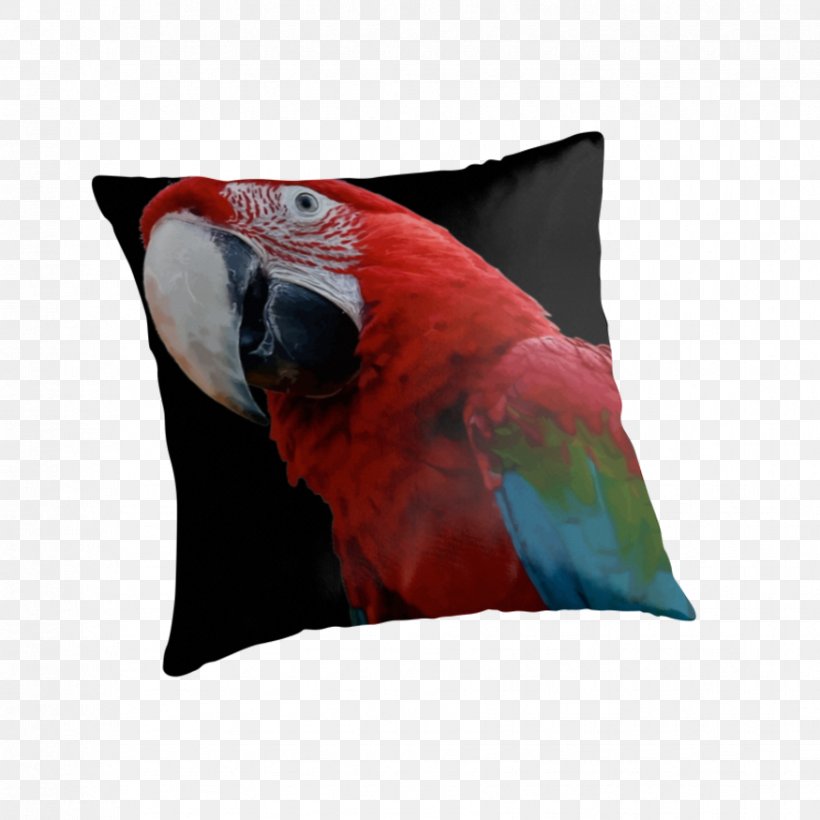 Cushion Throw Pillows Couch Bed, PNG, 875x875px, Cushion, Anybody, Beak, Bed, Bird Download Free