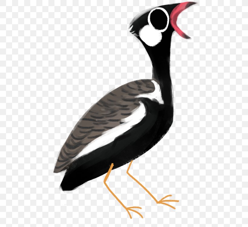Goose Wader Cygnini Duck Water Bird, PNG, 500x750px, Goose, Beak, Bird, Charadriiformes, Cygnini Download Free