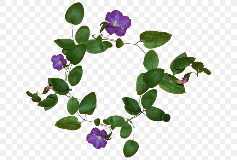 Pansy Violet Flower Thought Plants, PNG, 650x554px, 2018, Pansy, Branch, El Mundo, Flower Download Free