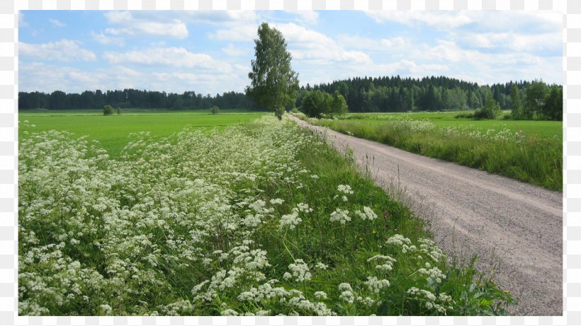 Suunnittelu Laukka Oy Ylivieska Take Me Home, Country Roads Pasture, PNG, 1280x720px, Ylivieska, Agriculture, Crop, Ecoregion, Ecosystem Download Free