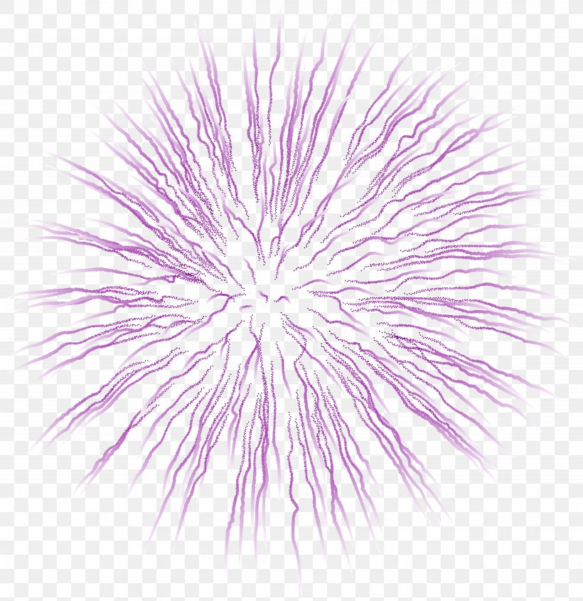 Clip Art, PNG, 4852x5000px, Fireworks, Blog, Computer, Lilac, Organism Download Free