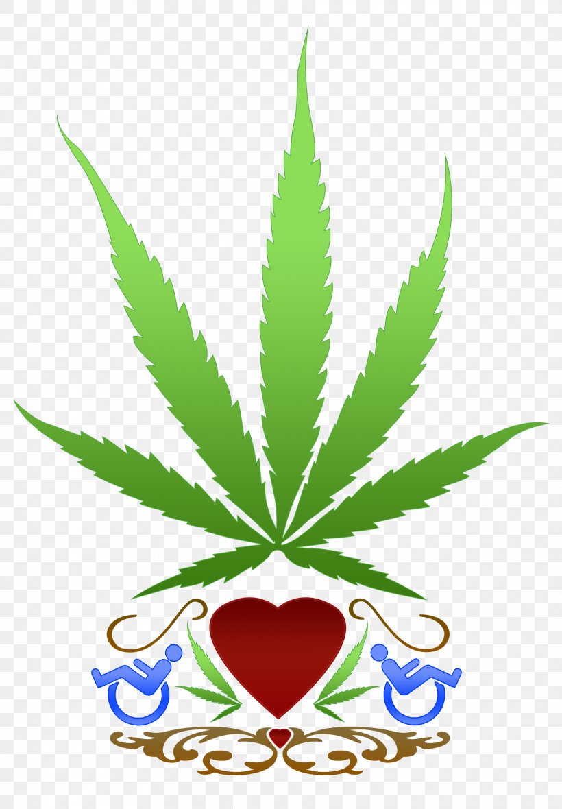 Medical Cannabis Cannabis Sativa Marijuana, PNG, 1875x2700px, Cannabis, Cannabis Sativa, Cannabis Smoking, Drug, Flowering Plant Download Free