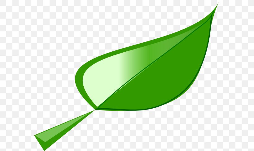 Leaf Lettuce Clip Art, PNG, 600x488px, Leaf, Food, Grass, Green, Leaf Vegetable Download Free