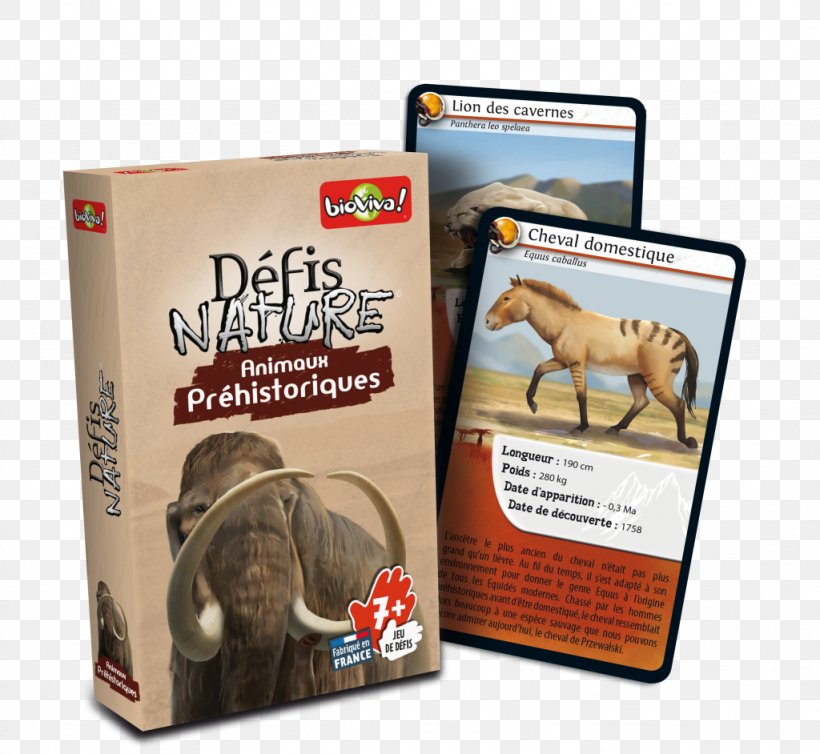 Prehistory Bioviva Défis Nature Le Grand Jeu Game Animal, PNG, 1024x942px, Prehistory, Animal, Bioviva, Card Game, Game Download Free