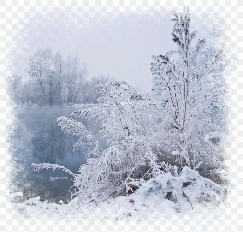 Winter Fog Desktop Wallpaper, PNG, 972x927px, Winter, Atmosfera Jarayonlari, Blizzard, Branch, Display Resolution Download Free