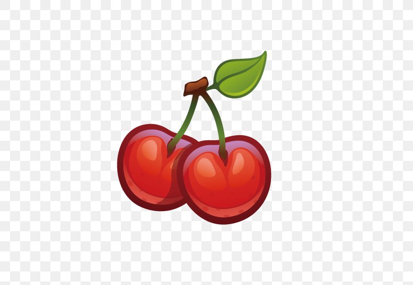 Cherry Cerasus Icon, PNG, 567x567px, Cherry, Apple, Cerasus, Computer Graphics, Flowering Plant Download Free