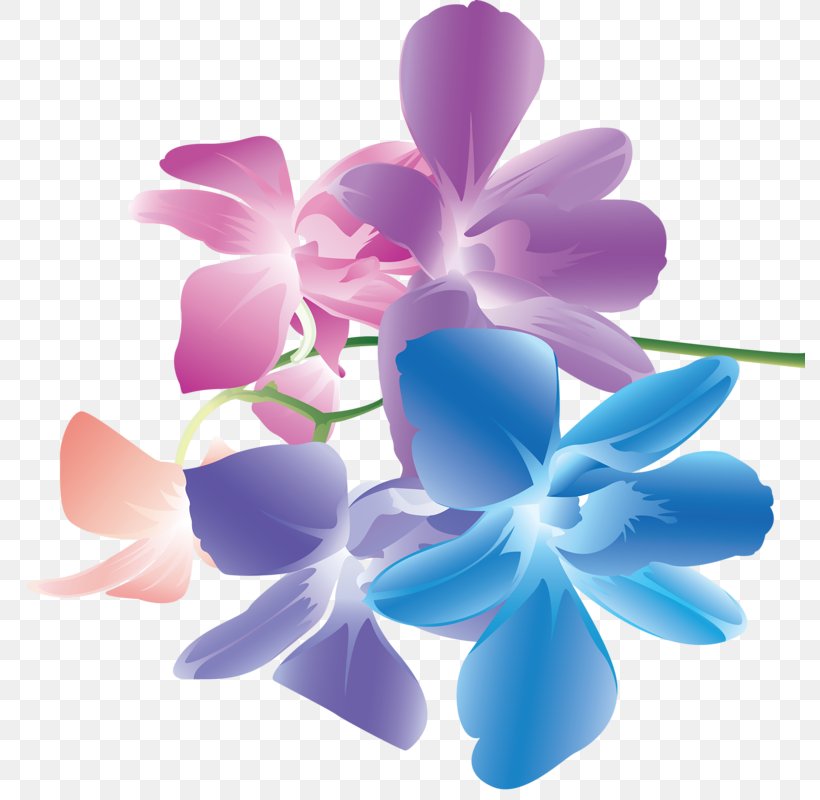 Flower Graphic Design, PNG, 791x800px, Flower, Drawing, Flowering Plant, Herbaceous Plant, Illustrator Download Free