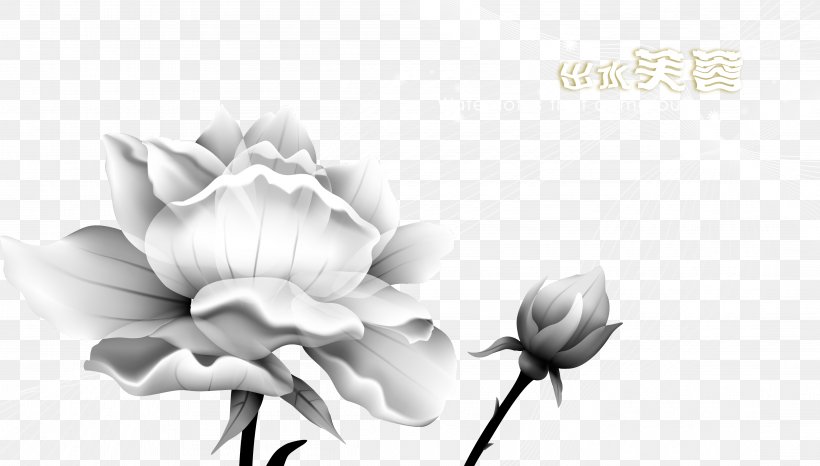 Paper Sticker Wallpaper, PNG, 4417x2514px, Paper, Art, Artwork, Black And White, Business Card Download Free
