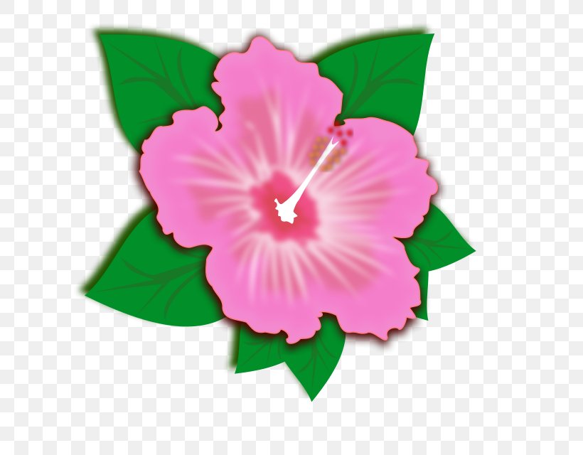 Clip Art Vector Graphics Openclipart Shoeblackplant Flower, PNG, 640x640px, Shoeblackplant, Annual Plant, Art, Daisy Family, Flower Download Free