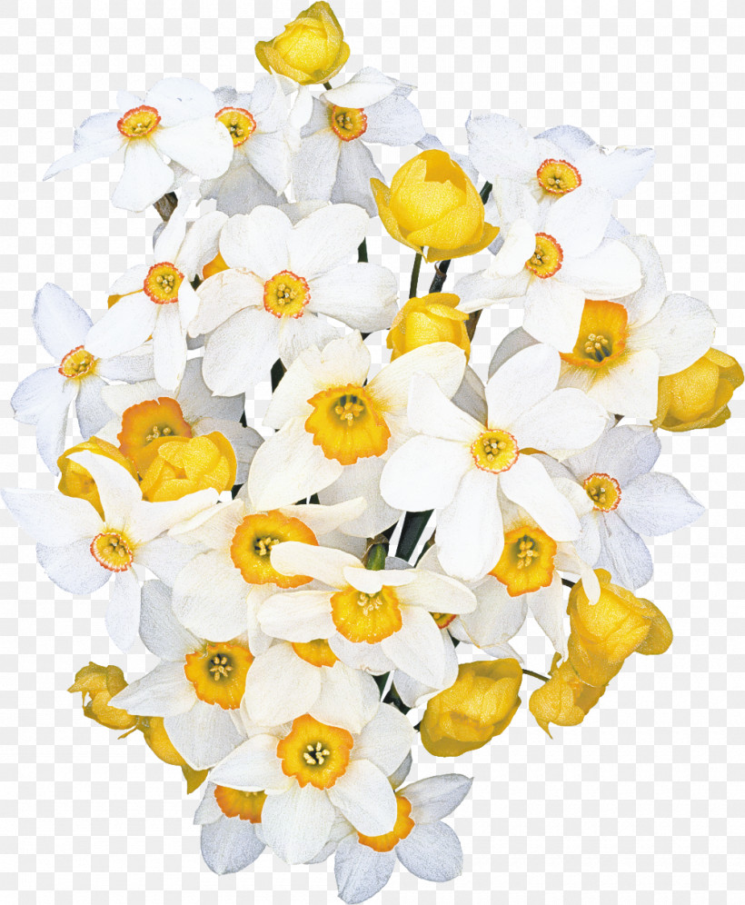 Flower Bouquet, PNG, 1000x1215px, Cut Flowers, Birthday, Daffodil, Floral Design, Flower Download Free