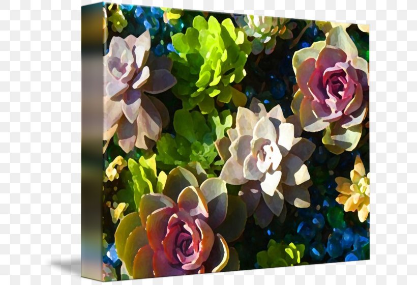Succulent Plant Flower Floral Design Fine Art, PNG, 650x560px, Succulent Plant, Art, Artist, Cut Flowers, Desert Download Free