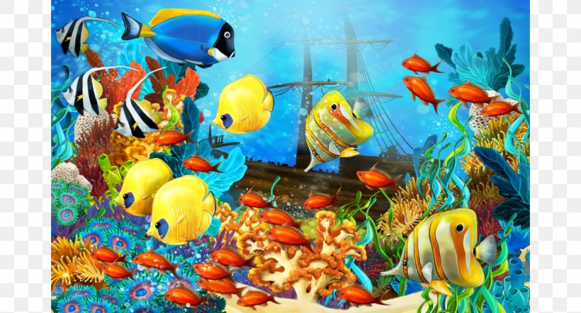 Underwater Coral Reef Fish Tropical Fish, PNG, 1228x662px, Underwater, Aquarium, Aquarium Decor, Coral, Coral Reef Download Free