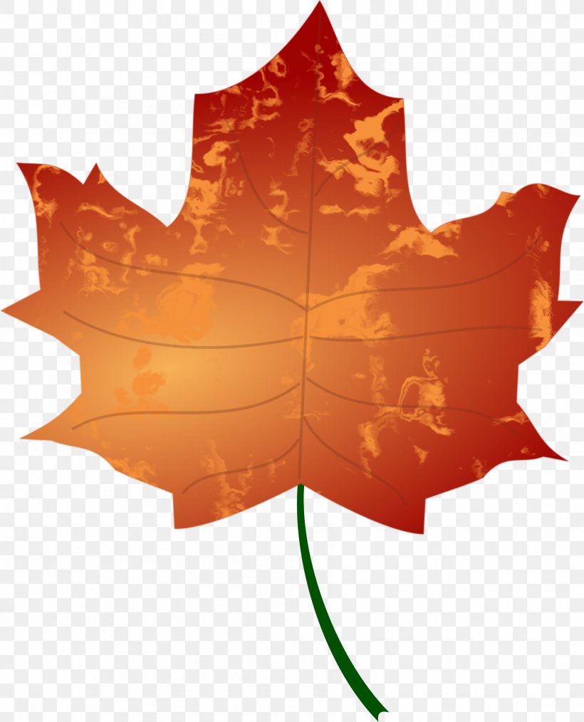 Autumn Leaf Color Clip Art, PNG, 1788x2213px, Autumn Leaf Color, Autumn, Color, Drawing, Flowering Plant Download Free