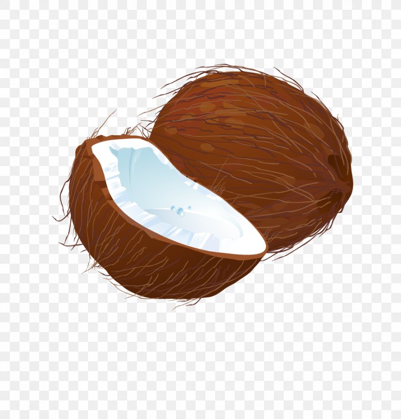 Coconut Euclidean Vector Download, PNG, 906x948px, Coconut, Android Application Package, Cup, Food, Installation Download Free