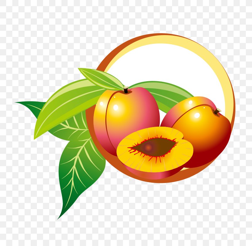 Fruit Drawing, PNG, 800x800px, Fruit, Apple, Apricot, Art, Diet Food Download Free