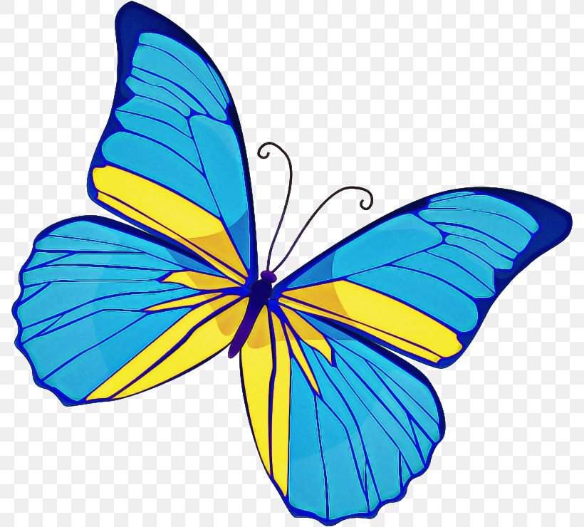 Butterfly Cartoon, PNG, 788x740px, Butterfly, Blue, Borboleta, Brushfooted Butterflies, Brushfooted Butterfly Download Free