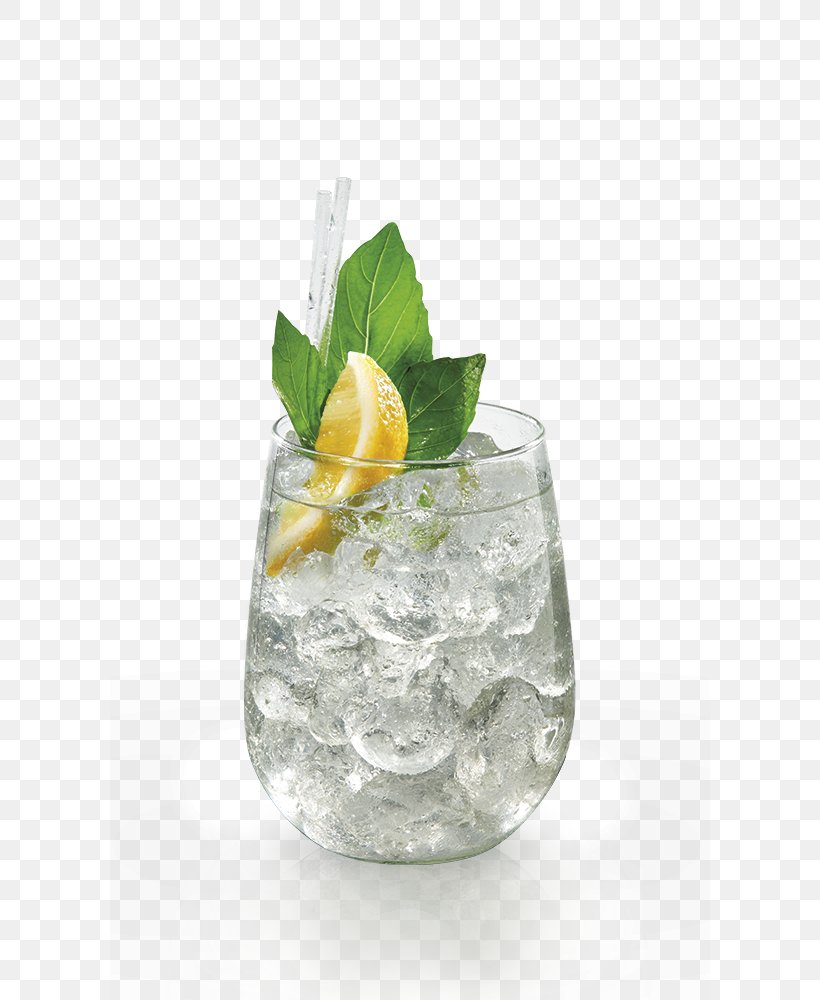 Gin And Tonic Rebujito Cocktail Garnish Vodka Tonic Tonic Water, PNG, 600x1000px, Gin And Tonic, Cocktail, Cocktail Garnish, Drink, Garnish Download Free