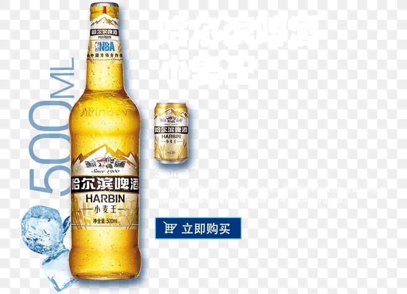 Beer Bottle Harbin Brewery Lager Harbin Beer, PNG, 736x592px, Beer Bottle, Alcohol, Alcoholic Beverage, Alcoholic Drink, Beer Download Free