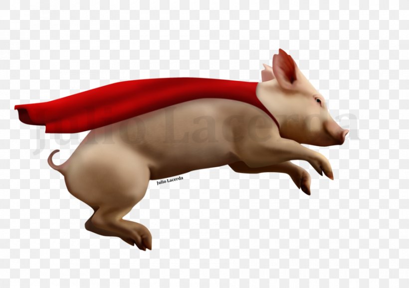 Domestic Pig When Pigs Fly Pig Racing Melbourne, PNG, 900x636px, Pig, Animal, Carnivoran, Demotywatorypl, Dog Like Mammal Download Free