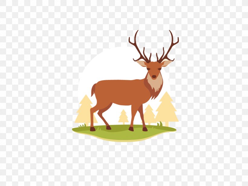 Reindeer Logo Icon, PNG, 1024x768px, Deer, Antler, Dribbble, Fauna, Horn Download Free