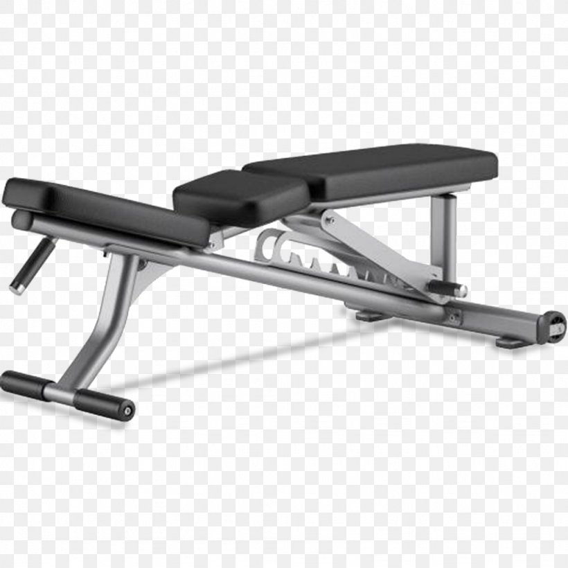 Bench Weight Training Physical Fitness Life Fitness Exercise, PNG, 1024x1024px, Bench, Automotive Exterior, Bench Press, Biceps Curl, Dumbbell Download Free