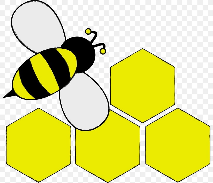 Honey Bee Bees Drawing Pencil Cartoon, PNG, 800x703px, Watercolor, Angle, Bees, Cartoon, Drawing Download Free