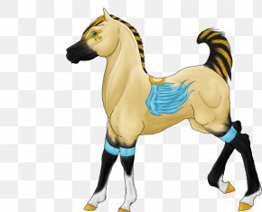 Mustang - Mustang Stallion Halter Rein FreikÃ¶rperkultur PNG