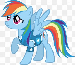Horse - Pony Rainbow Dash Horse PNG
