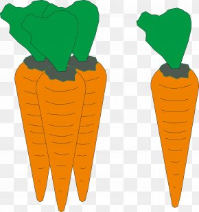 Carrot Material - Carrot Orange Clip Art PNG