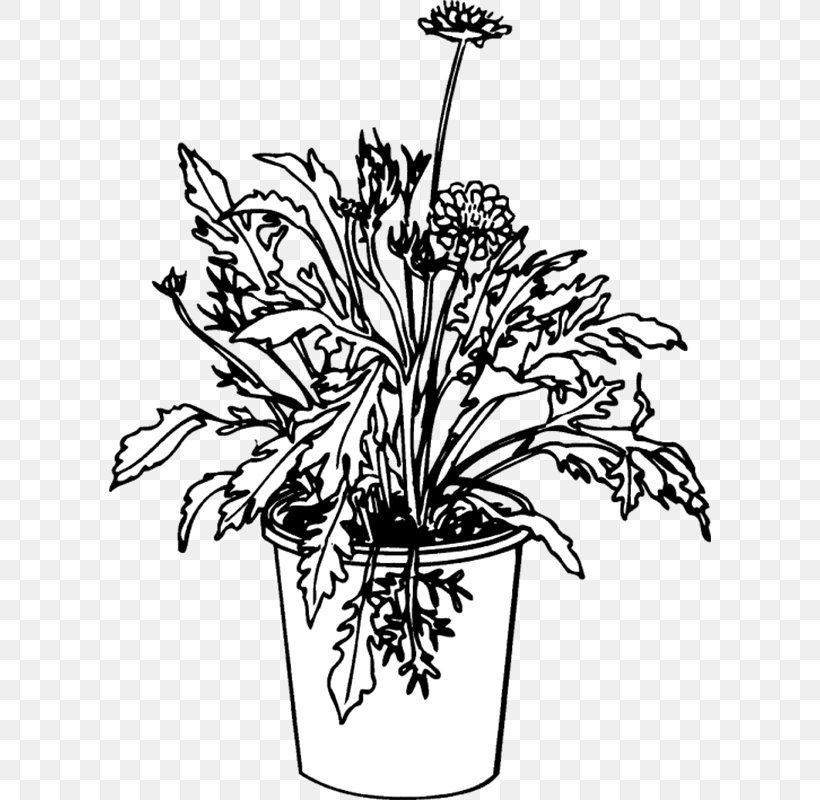 Floral Design Cut Flowers Flowerpot Plant Stem, PNG, 800x800px, Floral Design, Black And White, Branch, Character, Cut Flowers Download Free