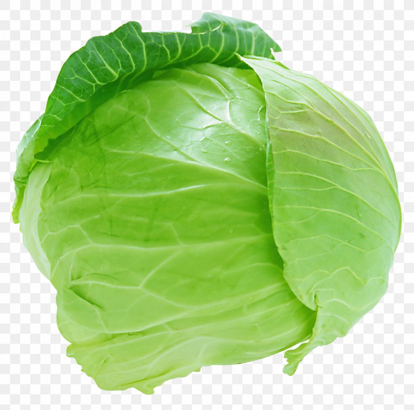 Savoy Cabbage Coleslaw Brussels Sprout Cauliflower, PNG, 1458x1443px, Cabbage, Brassica Oleracea, Broccoli, Cauliflower, Collard Greens Download Free