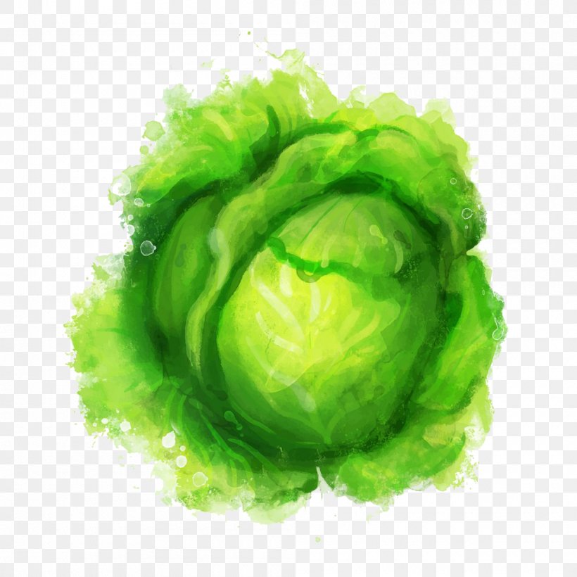 Watercolor Painting Green Inkstick Illustration, PNG, 1000x1000px, Watercolor Painting, Blue, Cabbage, Color, Food Download Free