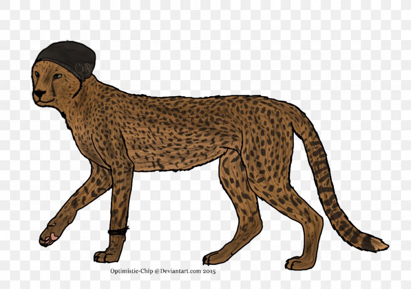 Cheetah Stock Photography, PNG, 1006x709px, Cheetah, Animal, Animal Figure, Animal Track, Big Cat Download Free