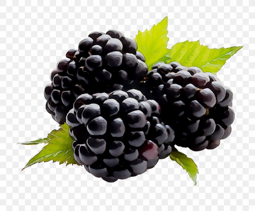 Grape Raspberry Dewberry Boysenberry Loganberry, PNG, 1190x985px, Grape, Accessory Fruit, Berries, Berry, Bilberry Download Free