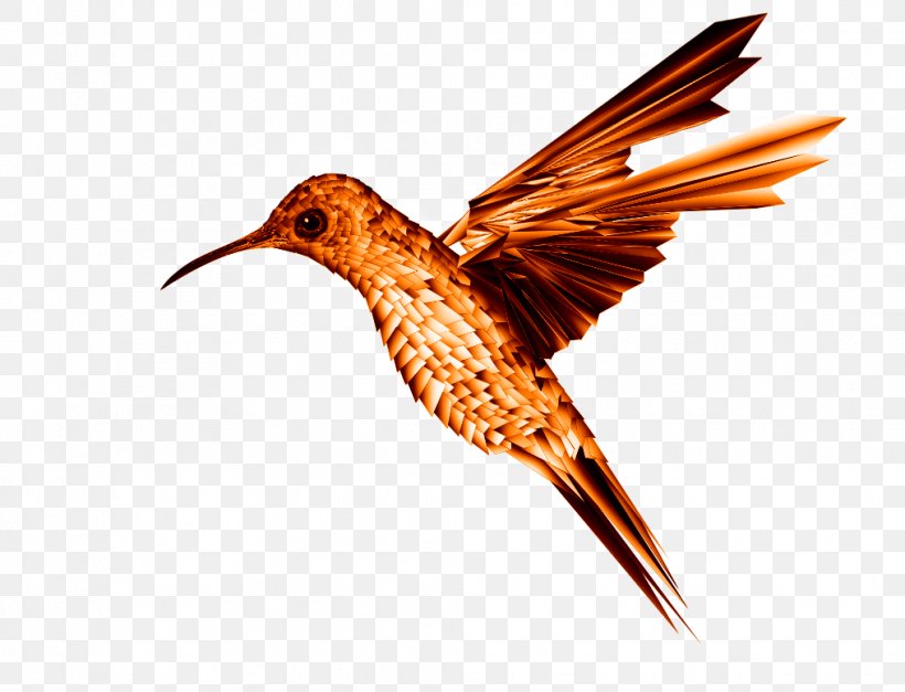 Hummingbird Beak Wing Feather, PNG, 1016x777px, Bird, Art, Artstation, Beak, Concept Art Download Free
