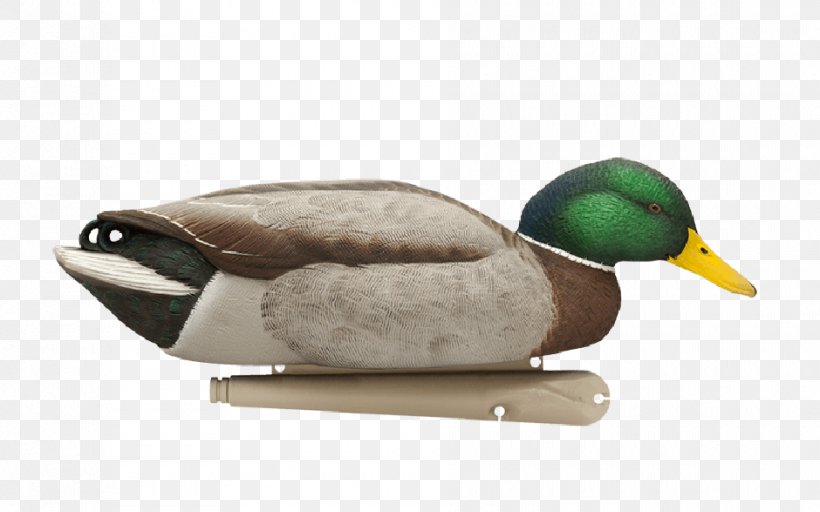Mallard Duck Decoy Avian-X Duck Decoy, PNG, 940x587px, Mallard, American Black Duck, Avianx, Beak, Bird Download Free