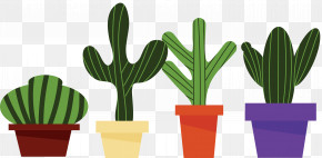 Mexico Elements PNG