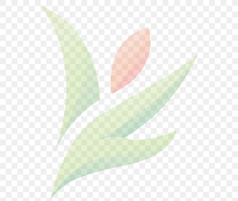 Petal Product Design Graphics Desktop Wallpaper Computer, PNG, 568x691px, Petal, Computer, Flower, Leaf, Plant Download Free