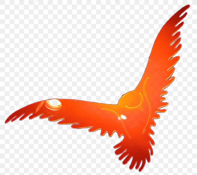 Rinnovamento Nello Spirito Santo Holy Spirit Sanctuary Of The Madonna Di San Luca Roman Catholic Archdiocese Of Bologna Wet N Wild Photo Focus Foundation PNG