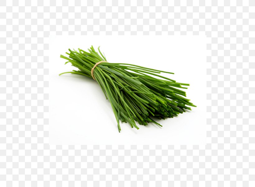 Chives Nutrition Scallion Vegetable, PNG, 600x600px, Chives, Allium, Asparagus, Carbohydrate, Commodity Download Free