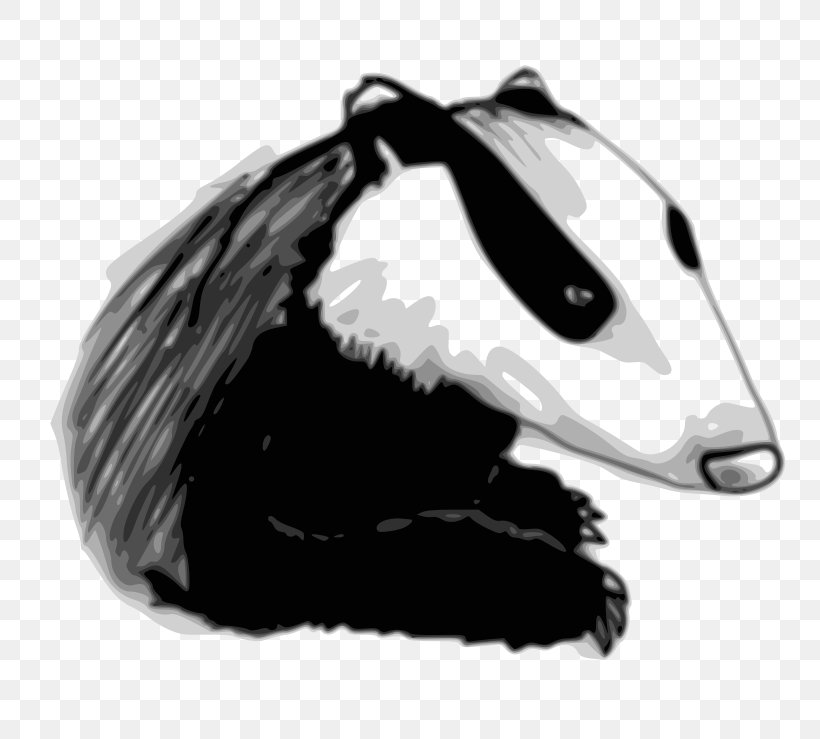 European Badger Honey Badger Drawing Clip Art, PNG, 800x739px, European Badger, Badger, Badger Badger Badger, Black And White, Bucky Badger Download Free