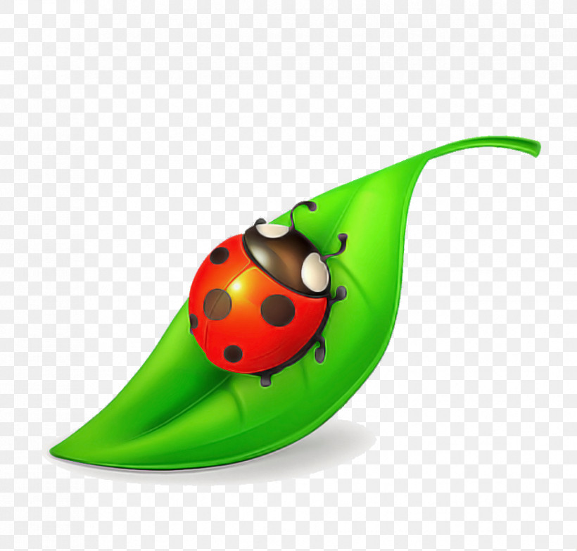 Ladybug, PNG, 877x838px, Ladybug, Beetle, Insect, Plant Download Free