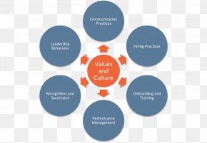 Performance - Money Market In India Money Market Fund Financial Instrument PNG