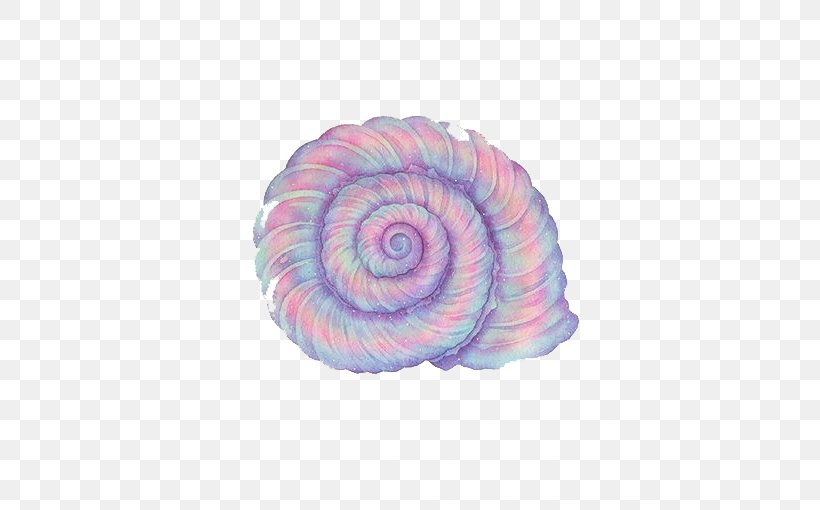 Purple Sea Snail Conch, PNG, 496x510px, Purple, Color, Conch, Designer, Google Images Download Free