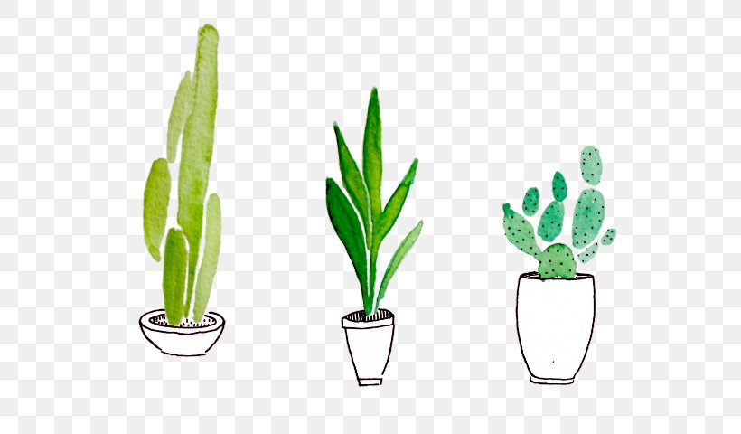 Cactus Watercolor Painting Drawing Succulent Plant Plants, PNG, 622x480px, Cactus, Color, Drawing, Flower, Flowering Plant Download Free